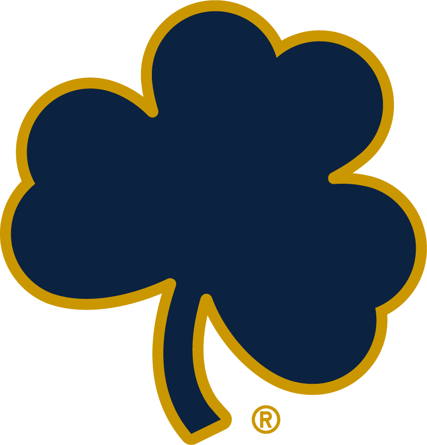 Notre Dame Fighting Irish 2015-Pres Secondary Logo v4 t shirts iron on transfers